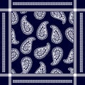 Flourish framed pattern with paisley elements.